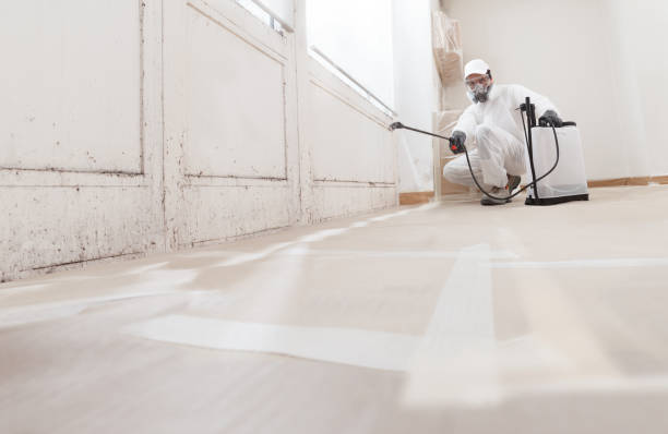 24/7 Emergency Attic Mold Remediation experts in Jackson, GA