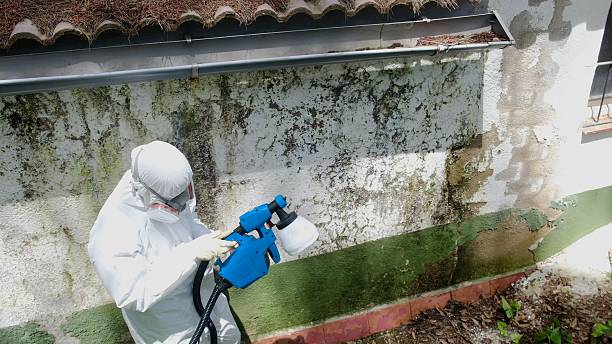 Top rated local Attic Mold Remediation specialists in Jackson, GA